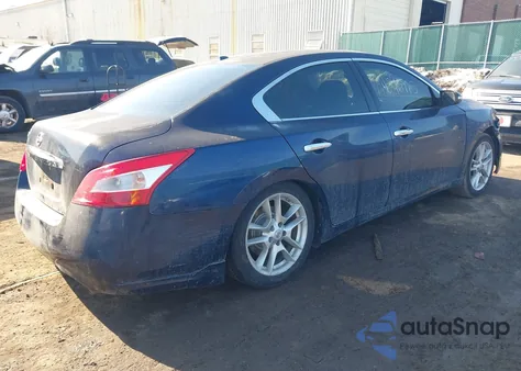 2010 Nissan Maxima 3.5 Sv z USA, uszkodzony, nr VIN 1N4AA5AP9AC820979